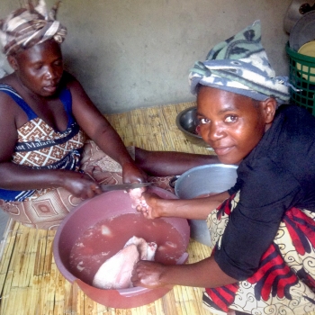 Zimba | Prepping Chickens